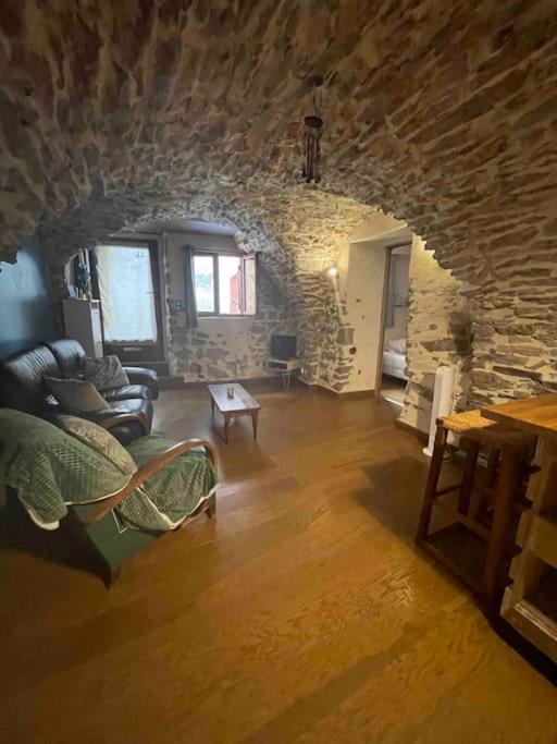 Charmante Cave Voutee 4 Personnes Saint-Jean-de-Fos Luaran gambar